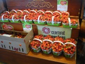 Strawberries (check the pannet size) at the Farmers' Market